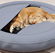 Dog burrowing into The Pooch Pouch